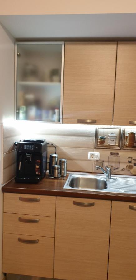 Emma Apartament Sinaia Dış mekan fotoğraf