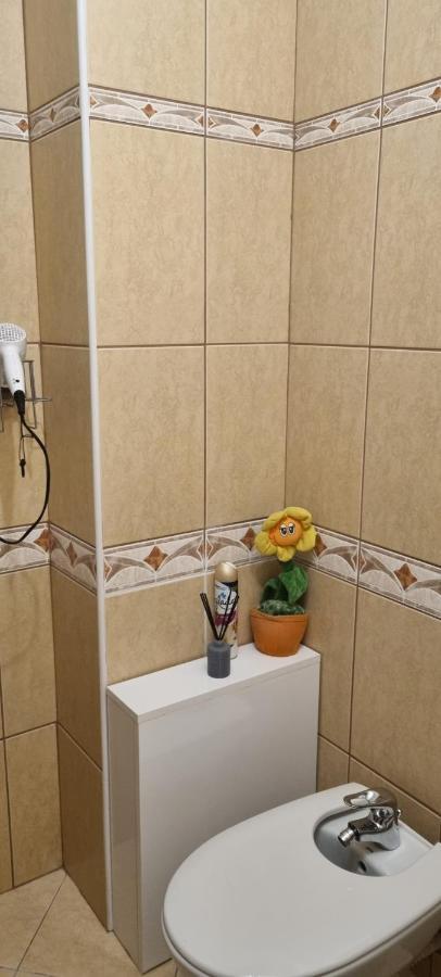 Emma Apartament Sinaia Dış mekan fotoğraf